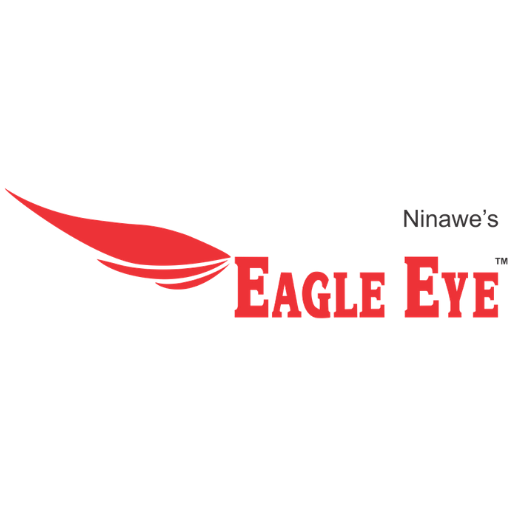 Eagle Eye Tutorials icon