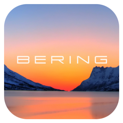 BERING Connected icon