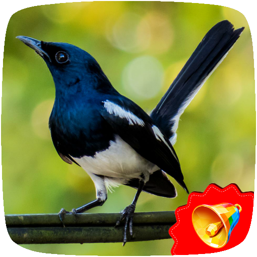 Kacer Birds Sounds icon