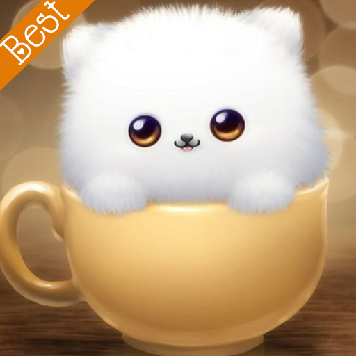 Best Dp and Status icon