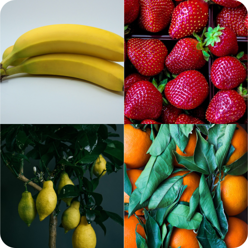 Guess the Fruit - World Fruit icon