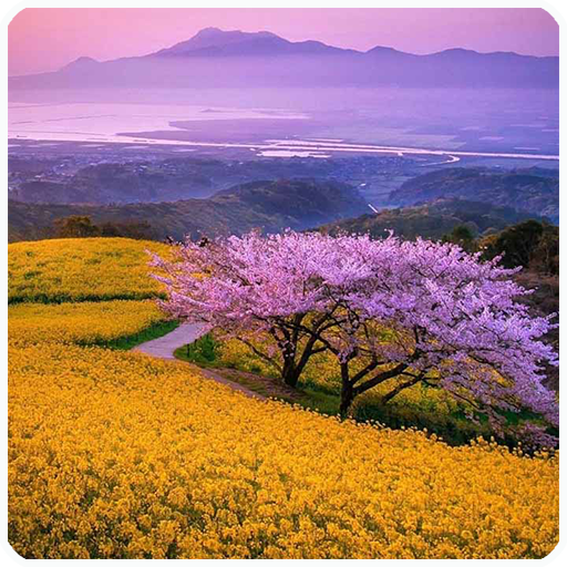 Jigsaw Puzzle World-Free Puzzles icon