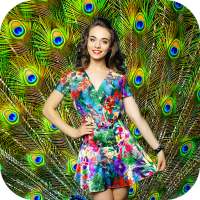 Peacock Feather  Photo Frames