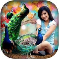 Peacock Dual Photo Frames on 9Apps