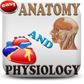 Anatomy &amp; Physiology Mnemonics icon