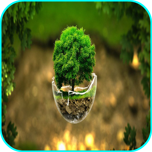 Nature Live Wallpaper icon