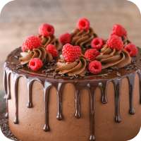 Chocolate Cake Recipes