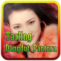 Lagu Tarling Dangdut Pantura Offline on 9Apps