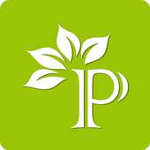 Palle Panta on 9Apps