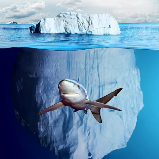 Cute shark lost icon