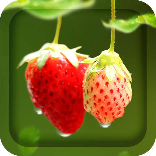 Red Strawberry Live Wallpaper أيقونة