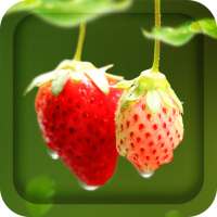 Red Strawberry Live Wallpaper on 9Apps
