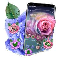 Rose Water Drop Theme Launcher on 9Apps