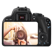 Professional DSLR Camera icon