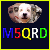 Funny Msqrd me icon