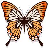 ملصقات فراشات للواتس آب for Whatsapp on 9Apps