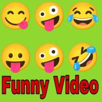Funny video comedy free watch 2021