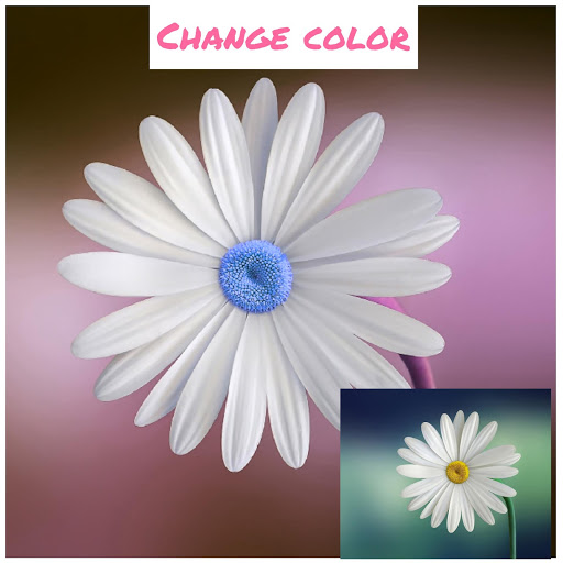 Photo editor - Cartoon Art Effect, Photo sticker screenshot 6