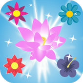 Flower Crush Mania - Match 3 Puzzle icon