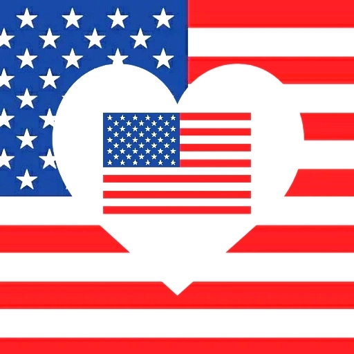 USA DATING &amp; AMERICAN CHAT icon