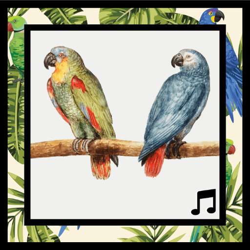 Parrot sounds, best parrot sounds ringtones free icon