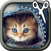 Copy Paste Photo Collage icon