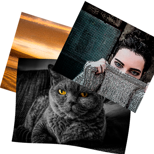 Digital Photo Frame for your interior أيقونة