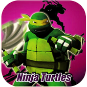 Streetplay Ninja Turtles Fight icon