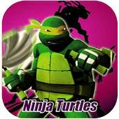 Streetplay Ninja Turtles Fight