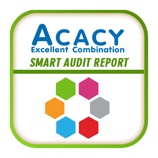 Smart Audit Report icon