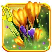 Crocus Free live wallpaper icon