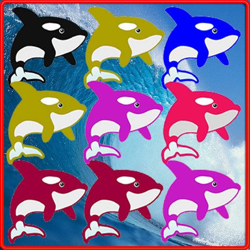 Killer Whale Match 3 Game icon