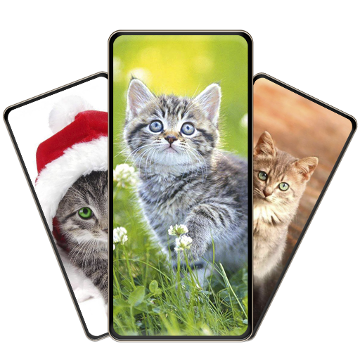 Cute Cat Wallpapers HD icon