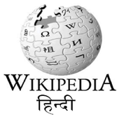 Wikipedia Hindi icon