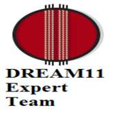 Dream 11 Expert's Teams on 9Apps