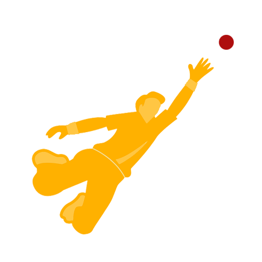 The 12th Man - Cricket Fielding Planner icon