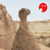 Videos engraçados TV Whatsapp icon