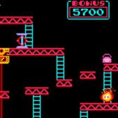 Donkey of Kong Emulator and Guide icon