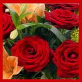 Flower Wallpapers HD icon