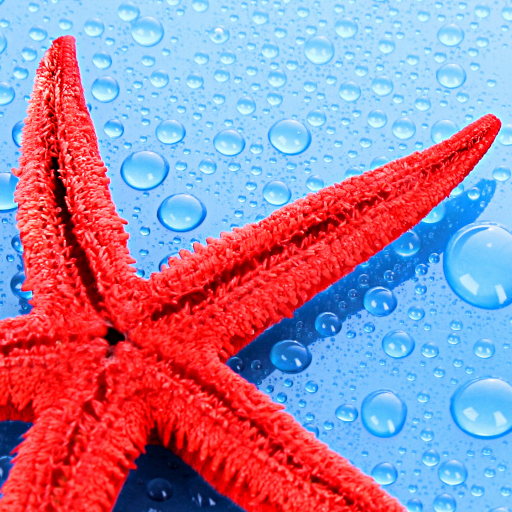 10,000  Wallpapers HD أيقونة