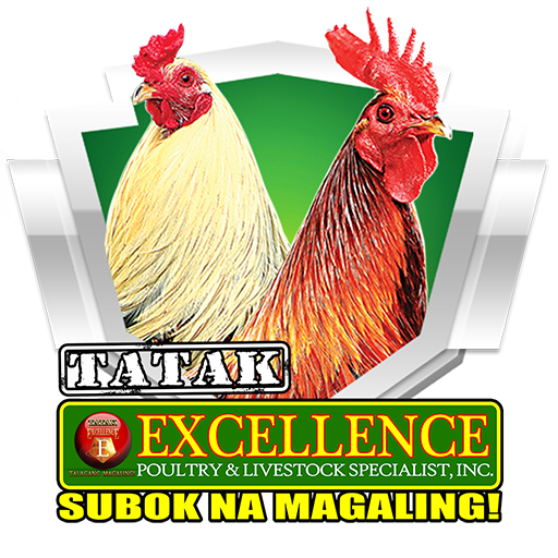 Tatak Excellence icon