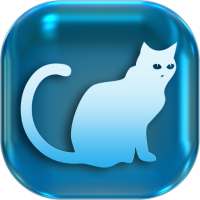 Cats 3 game puzzle