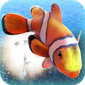 🐟 Fish! Simulator Sea World