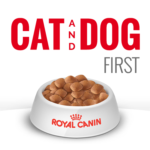 Cat and Dog First icon