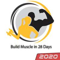 Build Muscle in 28 Days - FitApp Pro on 9Apps