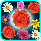 Blossom Match 3 icon