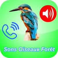 Chant Oiseaux comme Sonnerie Téléphone