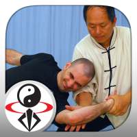 Tai Chi Martial Applications on 9Apps