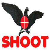 Shoot the angry bird icon