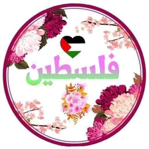 دردشة فلسطين أيقونة